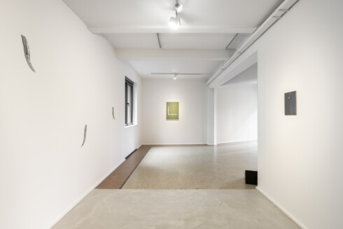 _HV_8401 (1)