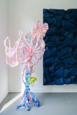 2 © Robin De Nys (1)