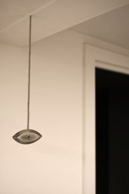 DSCF5556
