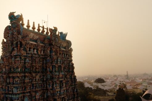 Pierre Jean Giloux, Biomimetic Stories #2 Madurai, videostill, courtesy the artist and Solang Production 